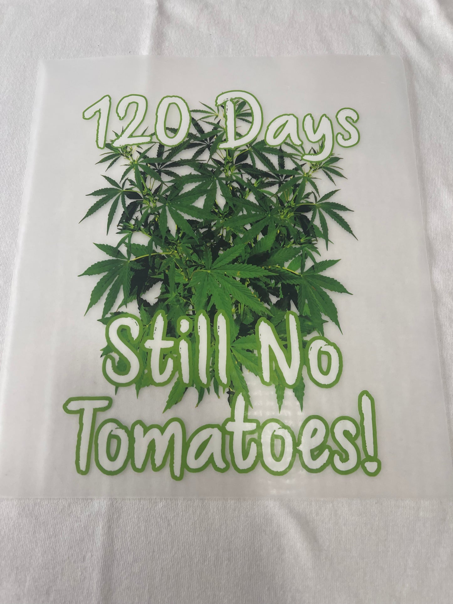 Still No Tomatoes-Dtf T-shirt Design
